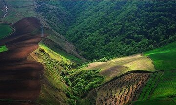 ثبت جهانی «جنگل‌ های هیرکانی»