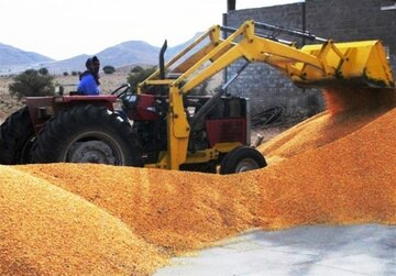 ۱۷۰ تشکل تعاون روستایی در هرمزگان فعال است