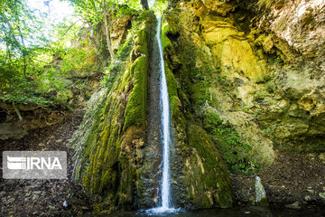 Iranian Hyrcanian Forest