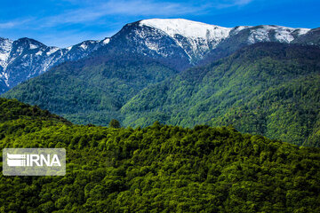 Iranian Hyrcanian Forest