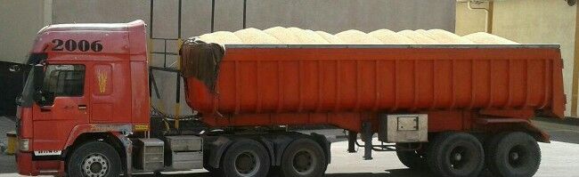 محموله غیرمجاز گندم در جغتای کشف شد محموله غیرمجاز گندم در جغتای کشف شد