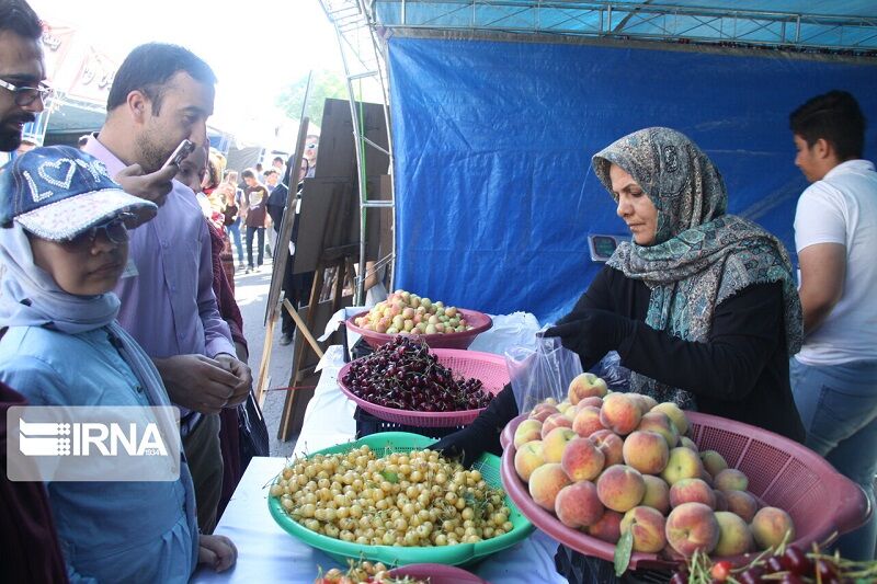 استقبال گردشگران از جشنواره ملی گیلاس باید بیشتر از اینها باشد