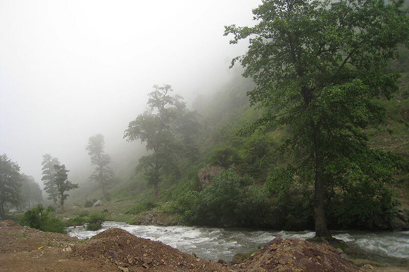 کشاورزان مازندران در حسرت مهار آب‌های روان 


