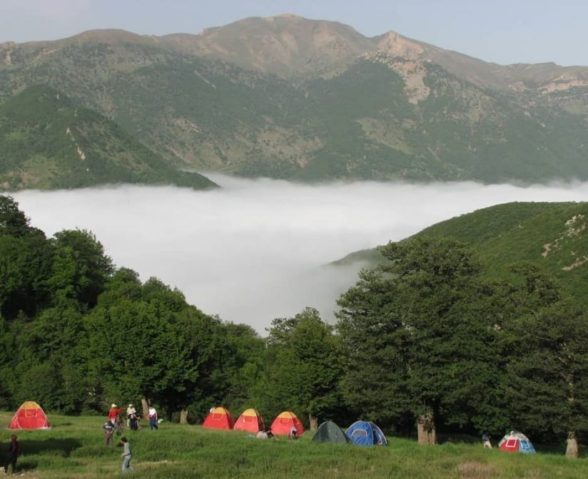 مدیرکل میراث فرهنگی سمنان: جنگل ابر شاهرود ثبت جهانی شد
