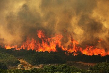 آمار آتش سوزی مراتع قزوین رشد پیدا کرد