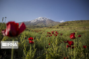 Damavand mountain