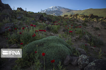 Damavand mountain