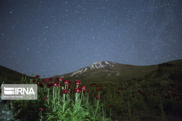 Damavand mountain