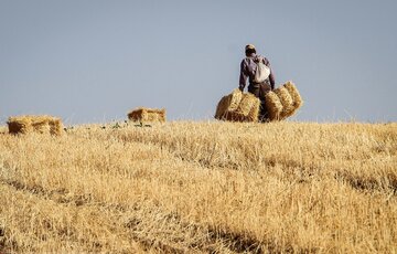 پیش‌بینی جمع‌آوری ۱۴۵ میلیارد ریال زکات در خراسان شمالی