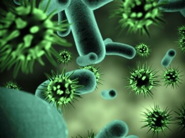 میکروبیوتا، میکروب‌هایی که سلامتی به ارمغان می‌آورند