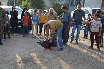 کاروان زیر سایه خورشید در ماکو