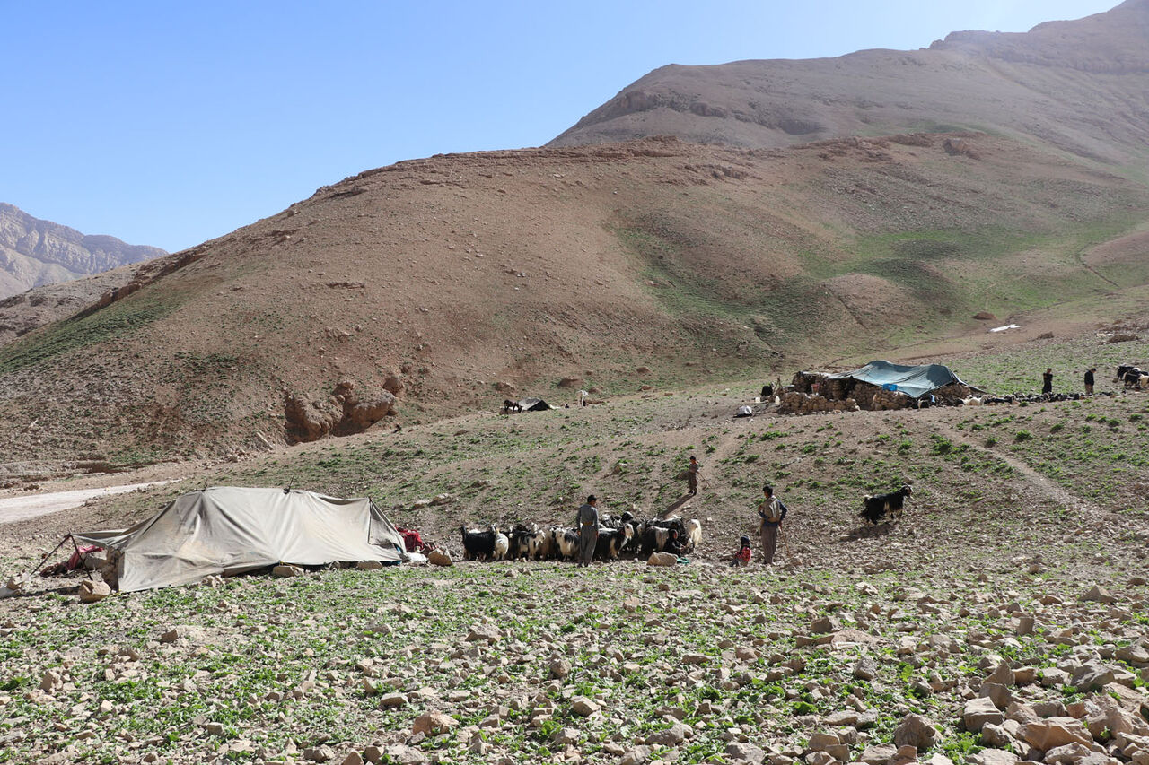 زندگی عشایر بختیاری خوزستان در مناطق ییلاقی زندگی عشایر بختیاری خوزستان در مناطق ییلاقی
