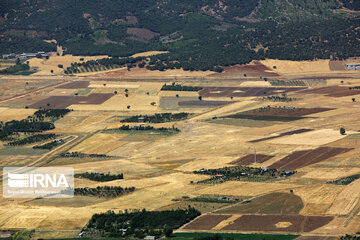 Zarivar Lake farms, W Iran