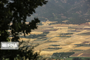 Zarivar Lake farms, W Iran