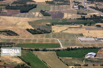 Zarivar Lake farms, W Iran