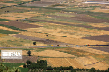 Zarivar Lake farms, W Iran