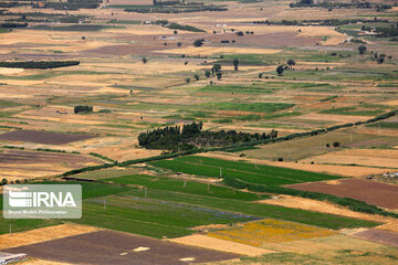 Zarivar Lake farms, W Iran