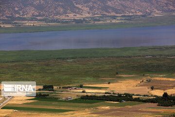 Zarivar Lake farms, W Iran