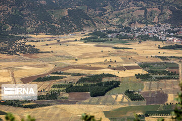 Zarivar Lake farms, W Iran