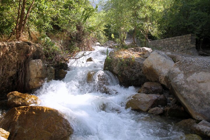 تصویر خبر