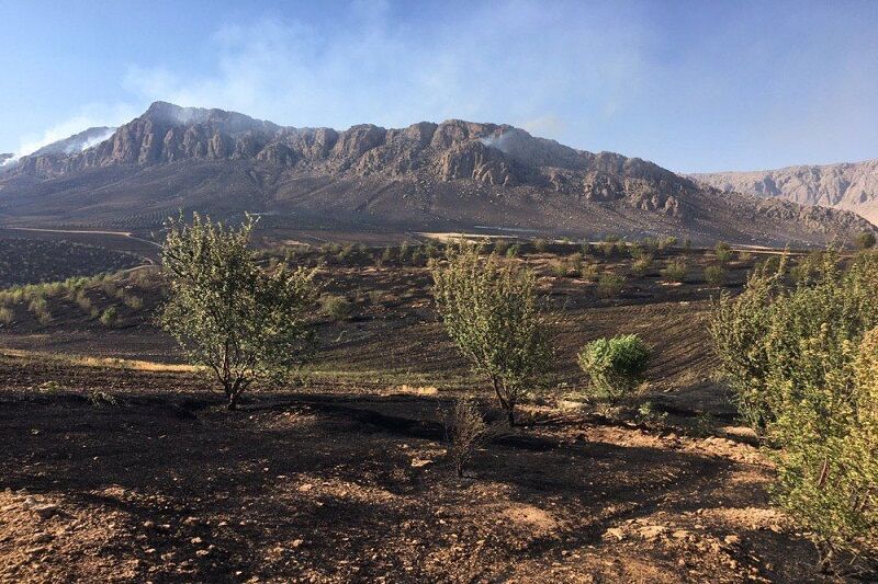 بیش از ۵ هکتار از مزارع گندم‌ در بوکان طعمه حریق شد