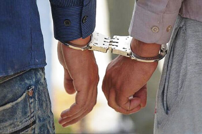 اعتراف سارقان به سرقت ۳۰ تلفن همراه و احشام د