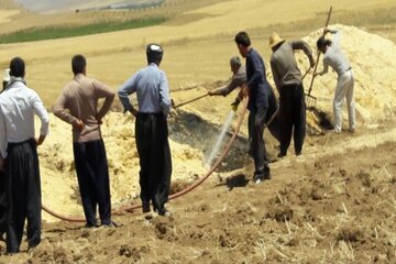 آتش به جان مزارع و مراتع بوکان افتاد