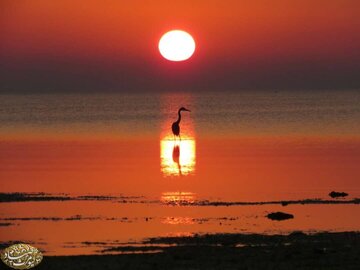 The beautiful aspects of sunrise and sunset in Kish island