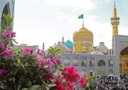 جشن میلاد ثامن‌الحجج (ع) در حرم مطهر رضوی برگزار شد