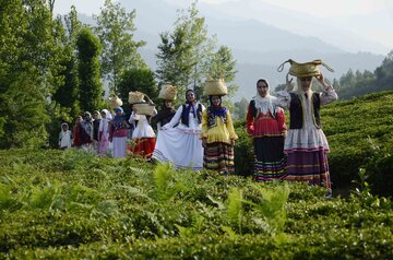 جشنواره فرهنگی ورزشی چای در روستای دارباغ فومن