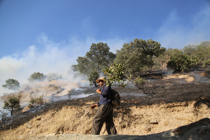 آتش سوزی یکی از مهمترین تهدیدات جنگل های بلوط زاگرس