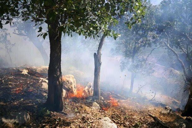 آتش سوزی جنگل های "کوماس" شهرستان چگنی مهار شد