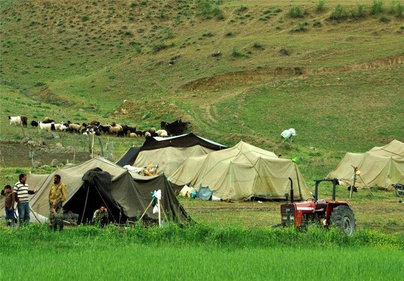 عشایر میانه سالانه ۲ هزار و ۷۰۰ تن شیر و گوشت تولید می‌کنند