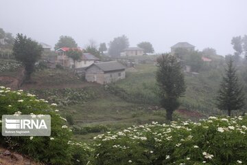 Asalem to Khalkhal road;  foggy and beautiful Route in Iran