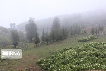 Asalem to Khalkhal road;  foggy and beautiful Route in Iran