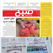 نگاهی به عناوین مهم روزنامه‌های سه شنبه یزد
