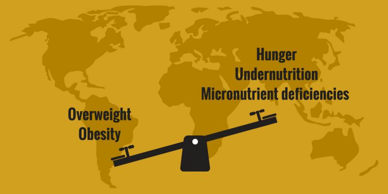 World hunger not falling, obesity rising: UN report