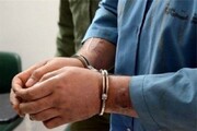 سارق طلاهای بیماران بیمارستان بعثت همدان دستگیر شد