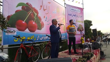 حمید امیدی بخشدار زند 