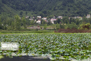 Iran's Soostan Lagoon in Lahijan; perfect tourist resort