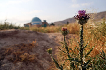 بقعه متبرکه امامزاده محمدرضا روستای لنگر