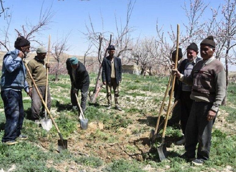 ۱۲۰ هزار خانوار مناطق روستایی نشین آذربایجان‌غربی فاقد بیمه هستند