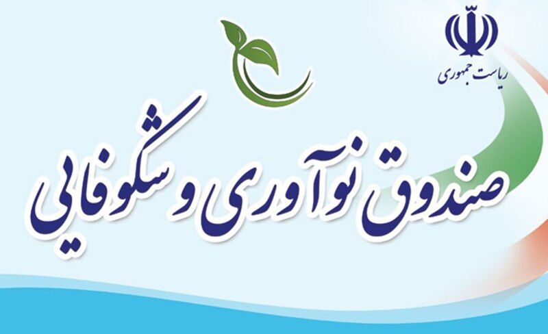 شرکت‌های دانش‌بنیان نیازهای خود را از صندوق نوآوری و شکوفایی مطالبه کنند