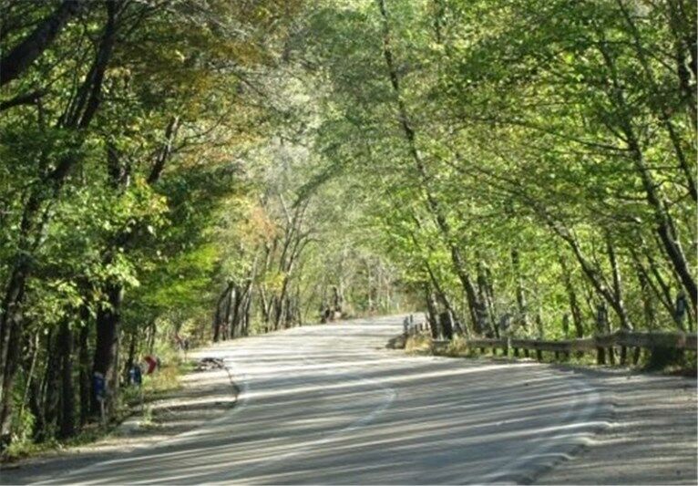 حفاظت از پارک ملی گلستان باید به مطالبه عمومی تبدیل شود