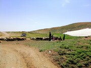 کوچ بهاره عشایر آذربایجان‌غربی به تعویق افتاد