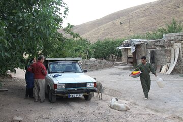 پناهگاه نگهداری سگ‌های بی‌صاحب در مهاباد