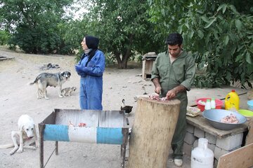 پناهگاه نگهداری سگ‌های بی‌صاحب در مهاباد