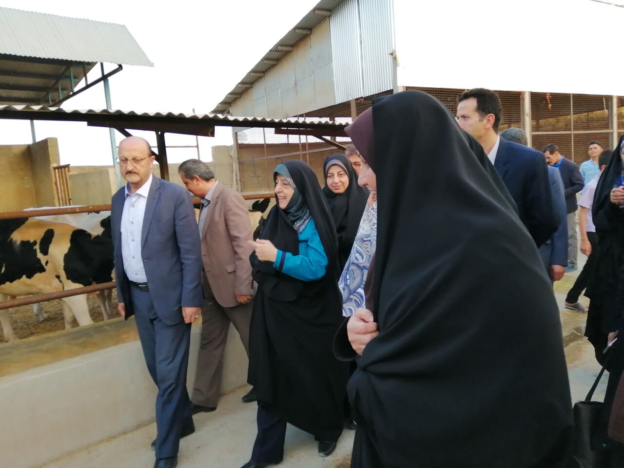 معاون رئیس جمهوری از یک واحد پرورش دام در آبیک بازدید کرد معاون رئیس جمهوری از یک واحد پرورش دام در آبیک بازدید کرد
