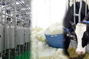 رفع تعهد ارزی صادرکنندگان شیرخشک صنعتی/ کاهش ۵۰ درصدی تعهد ارزی سه میوه