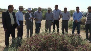 احیا دریاچه ارومیه بدون مشارکت مردم محقق نمی‌شود